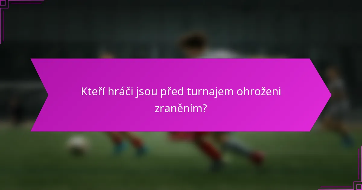 Kteří hráči jsou před turnajem ohroženi zraněním?